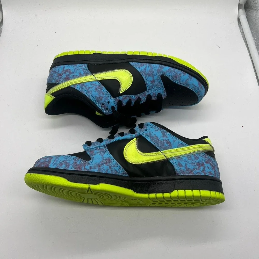 Nike dunk low 